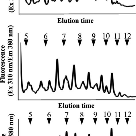 Size Fractionation HPLC Analysis Of PA N Glycans Derived From Medaka