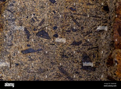 Graywacke Greywacke Sandstone Hi Res Stock Photography And Images Alamy