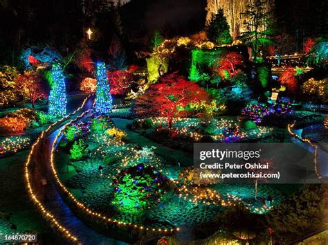 Butchart Gardens Night Photos and Premium High Res Pictures - Getty Images