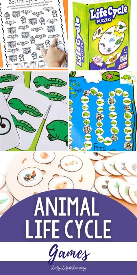 Animal Life Cycle Games