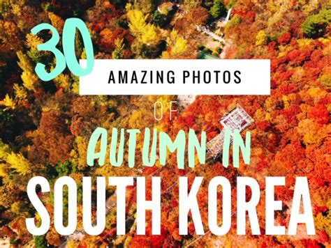 30 Photos That Prove the South Korea Autumn Just Won at Life ...