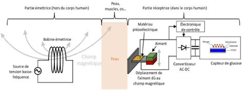 Transmission sans fil d énergie électrodynamique pour l alimentation de