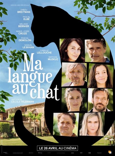 Ma langue au chat Cinéma le lido de Prades