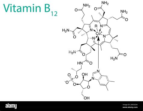 An Illustration Of A Vitamin B12 Molecule Isolated On A White Background Stock Vector Image