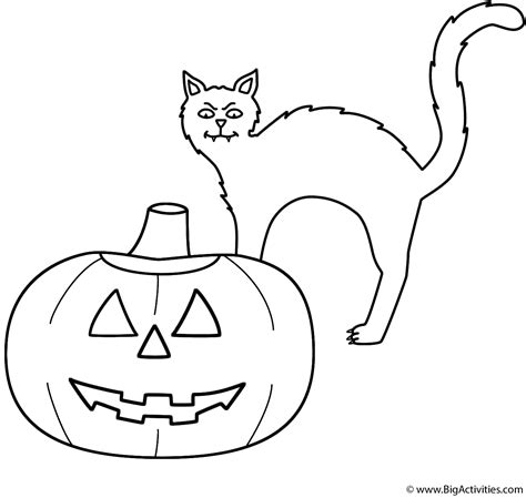 Pumpkin/Jack-o-Lantern with black cat - Coloring Page (Halloween)