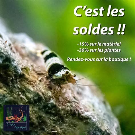 Evasion Aquatique | Les Haies