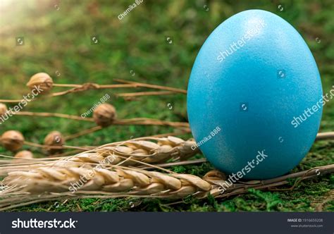 Blue Eggs