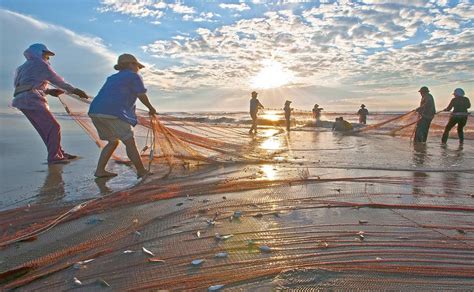 Costa Rica Veta Ley De Pesca Con Redes De Arrastre