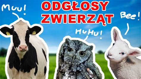 Nauka zwierząt dla dzieci po polsku Odgłosy Zwierząt Zwierzęta dla