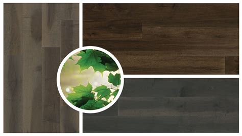 26 Elegant Most Popular Hardwood Floor Colors 2015 2024