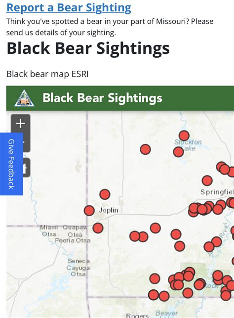 Bear Sightings In Missouri 2024 Map Of Bibby Cherice