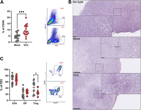 Frontiers The Oncolytic Herpes Simplex Virus Type 1 HSV 1 Vaccine