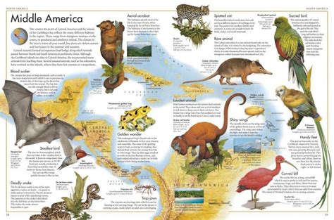 The Animal Atlas: A Pictorial Guide to the World's Wildlife | NHBS ...