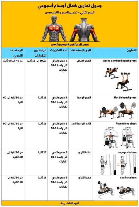 جدول تمارين كمال اجسام اسبوعي