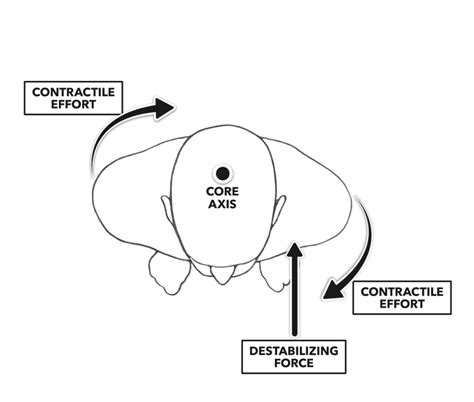 Crossfit Midline Stability Part 2 Power And Posture