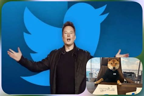 Elon Musk Introduces New Twitter Ceo