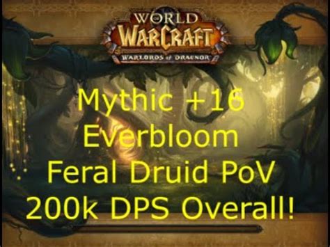 Mythic Everbloom Fortified Feral Druid Pov K Dps Overall