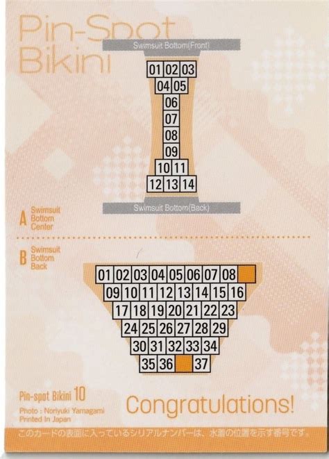 HIT S Aoi Fujino Vol 2 Trading Card Pin Spot BIKINI 13 14 Japan Gravure