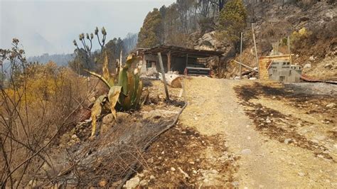 Nuevo Le N De M Xico Al Menos Viviendas Afectadas Y El Desalojo De