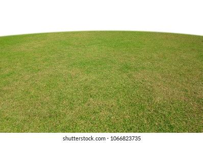 Green Grass Field Isolated On White Stock Photo Shutterstock