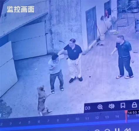 男子撞到村长的狗被5人殴打？警方：犬主曾任村干部，涉案嫌疑人已全部到案周某坤林某鹏羊城