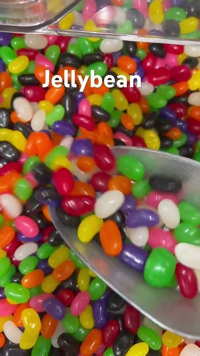 Jellybean Shorts Youtube