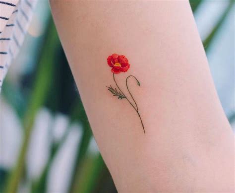 Beautiful Poppy Tattoo Designs For Women Tattooadore Poppies