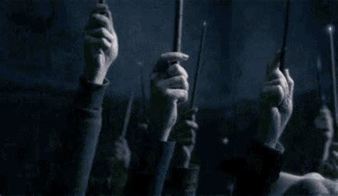 Harry Potter Wands GIFs | Tenor