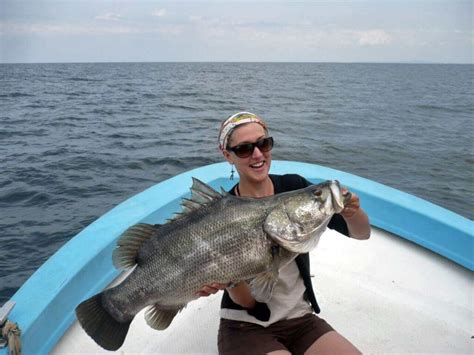 Fishing On Lake Victoria - Africa's Largest Fresh water Lake.