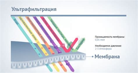 Ультрафильтрационные мембранные элементы УФМ | Станции очистки сточных ...