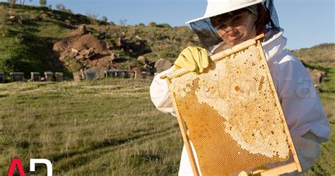 Agricultura Resuelve El Pago De Millones En Ayudas De La