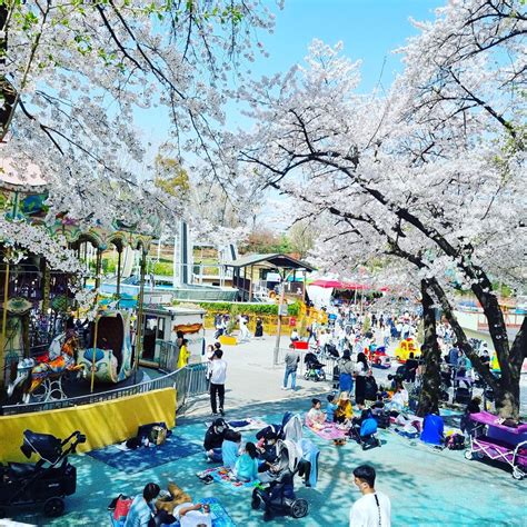 seoulchildrenamusementpark instagram