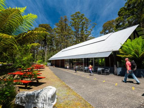 Hastings Caves and Thermal Springs Pool - The Huon Valley Southern Tasmania