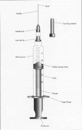 Syringe Diagram And Label 2 Sheridan Fisher