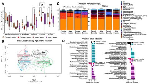 Microorganisms Free Full Text Gut Biogeography Accentuates Sex