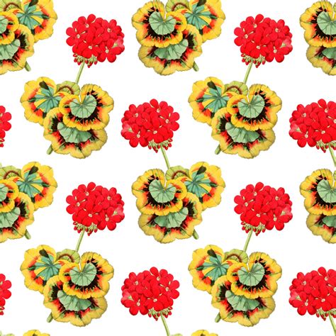 Red Floral Background Wallpaper Free Stock Photo - Public Domain Pictures