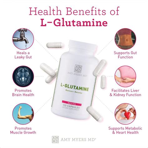 L glutamine benefits – Artofit