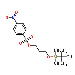 China 3 Terc Butil Dimetil Silil Oxipropil 4 Nitrobencenosulfonato