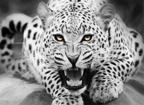 Diamond Painting Black and White Tiger Painting, Full Image - Painting