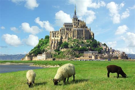 Tripadvisor Mont Saint Michel Private Tour Von Le Havre Mit Abholung