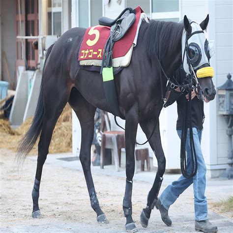 【秋華賞】コナコーストが巻き返しへ着々 清水久調教師「競馬が上手でセンスがある」 2023年10月14日掲載 ライブドアニュース