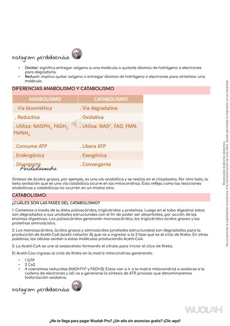 SOLUTION Bioqu Mica Introducci N Al Metabolismo Perdida En Uba Studypool