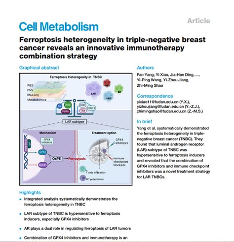 细胞“铁死亡”和三阴性乳腺癌有什么关系复旦肿瘤医院乳腺外科有了新发现 中国核技术网