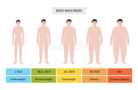 Body mass index man stock vector. Illustration of info - 209711867