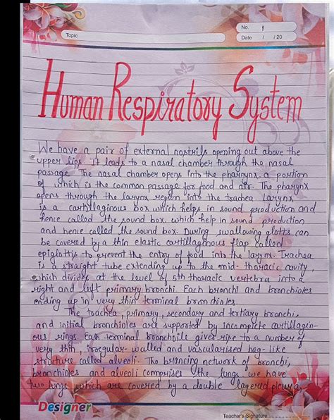 Human Respiratory System Project File Projects Top 10m Viral Comment Pdf In