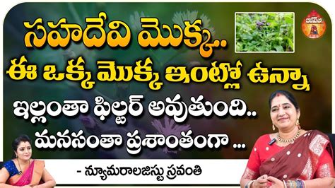 సహదవ మకక ఈ ఒకక మకక ఇటల ఉనన Numerology Sravanthi about