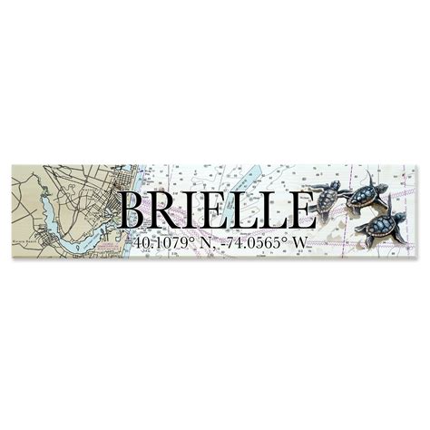 Brielle, NJ Baby Sea Turtles Coordinate Sign – MapMom
