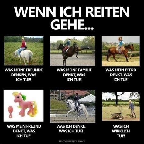 wenn ich reiten gehe lustig witzig Sprüche Bild Bilder Lustige