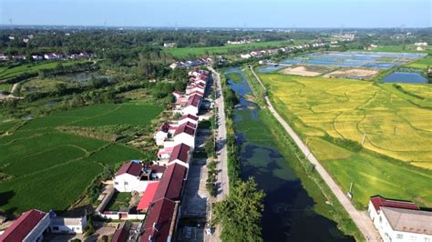 和美乡村丨黄墩村：探索村社联合模式 铺就强村富民之路六安市金安区人民政府