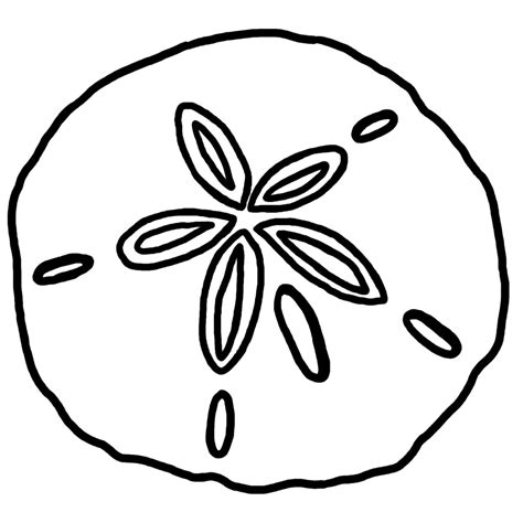 Sand Dollar Drawing at PaintingValley.com | Explore collection of Sand ...